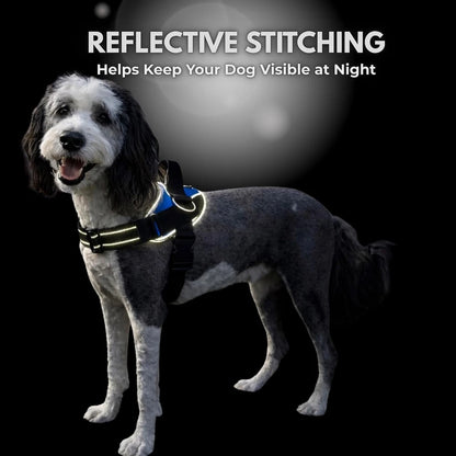 ShawnCo Essential No-Pull Dog Harness