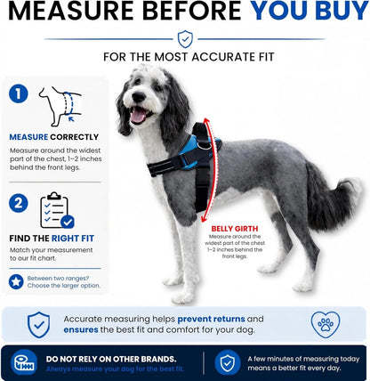 ShawnCo Essential No-Pull Dog Harness