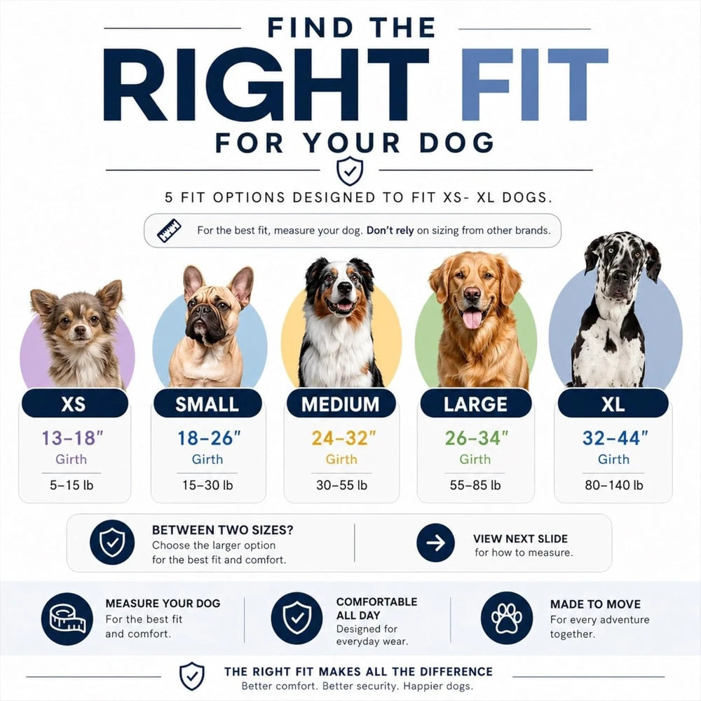 ShawnCo Essential No-Pull Dog Harness
