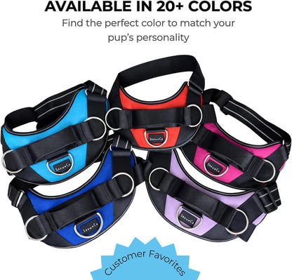 ShawnCo Essential No-Pull Dog Harness
