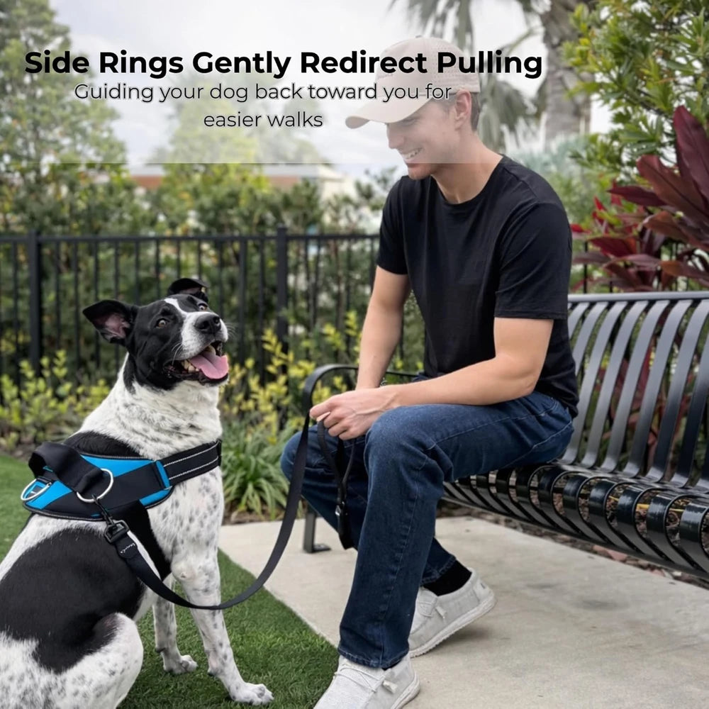ShawnCo Essential No-Pull Dog Harness