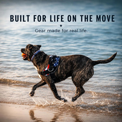 ShawnCo Essential No-Pull Dog Harness