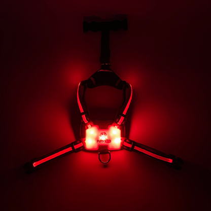 LED Dog Harness