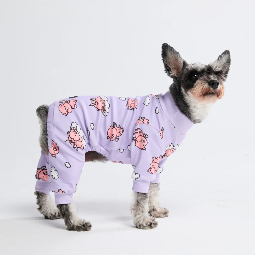 Dog Pajama - When Pigs Fly