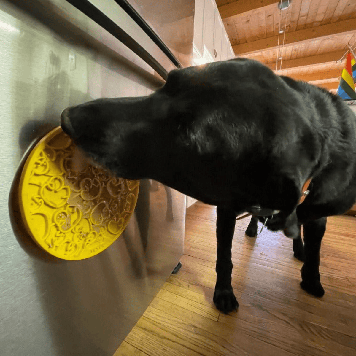 Dog Lick Mats with Suction Cups
