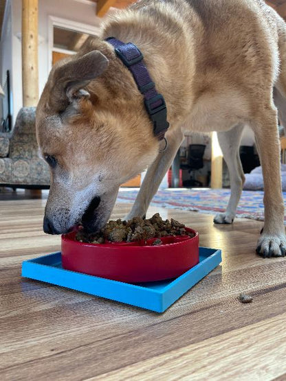 Hold 'em Suction Cup Holder for Dog Bowls & Lick Mats | USA Made