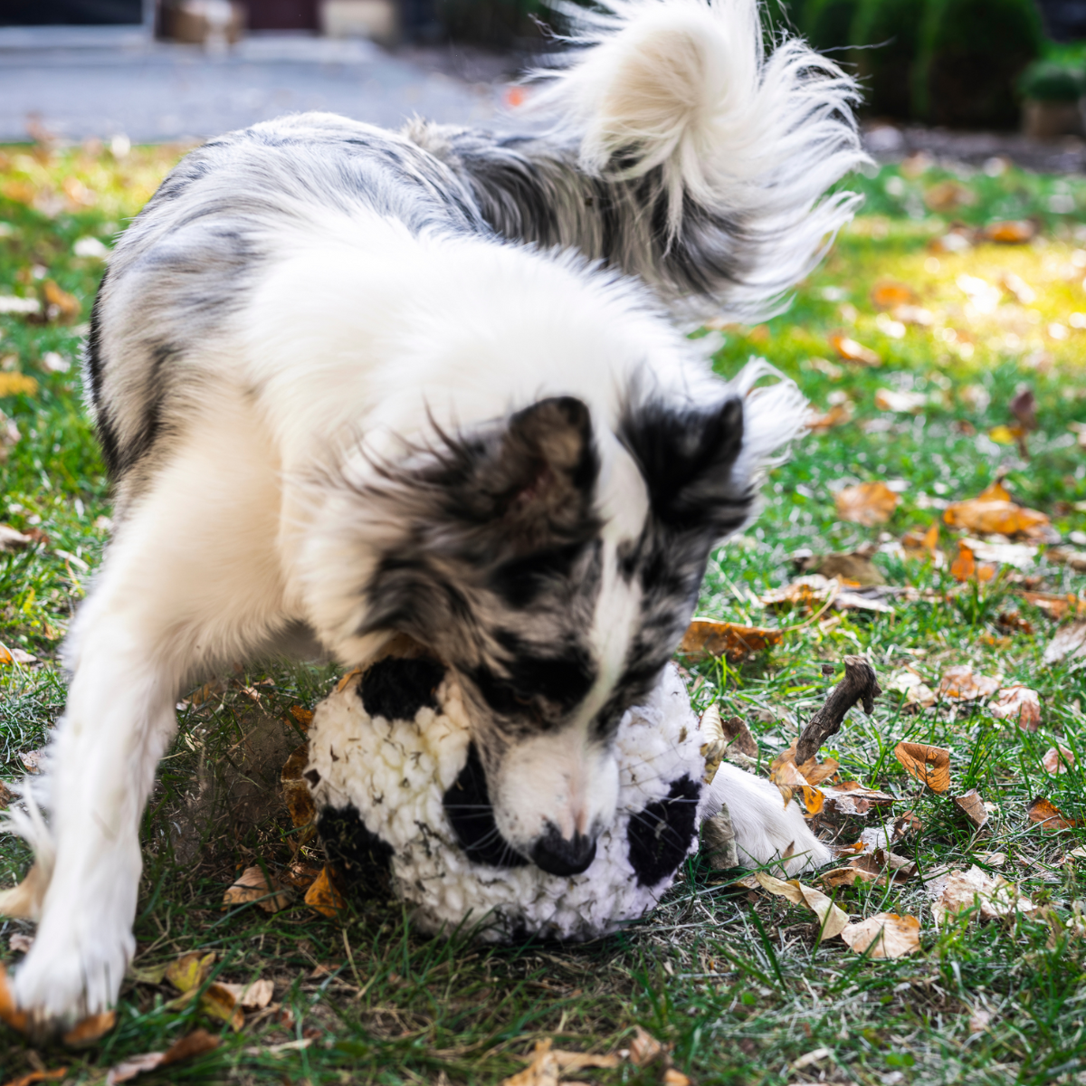 HuggleFleece® Soccer Ball Dog Toy | Limited World Cup 2026